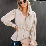 V-neck Long-sleeved Blouse Blouse