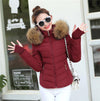 fur parka jacket