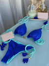 Blue Color  Two Piece Bikinis